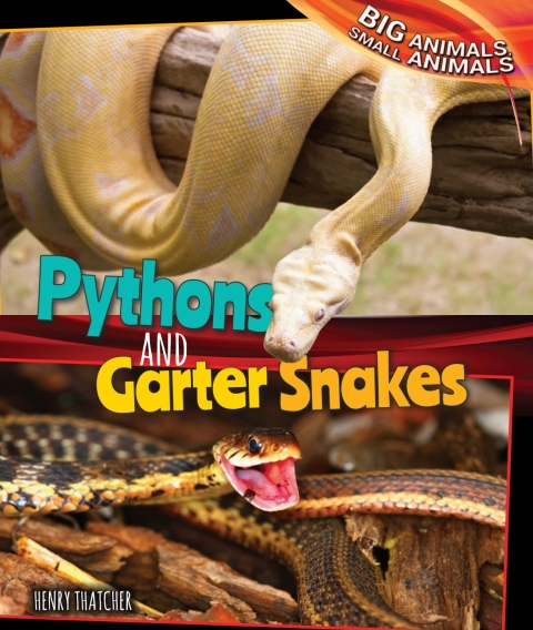 Cover image for book Pythons and Garter Snakes