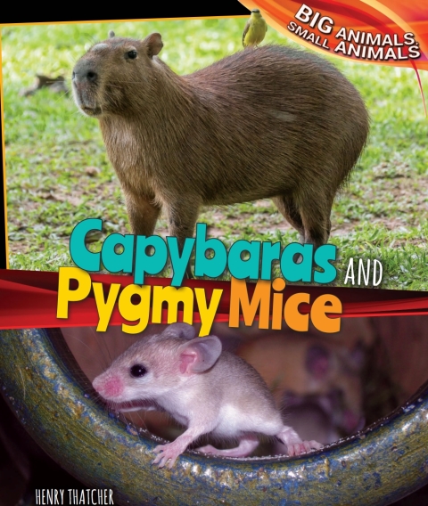 Cover image for book Capybaras and Pygmy Mice