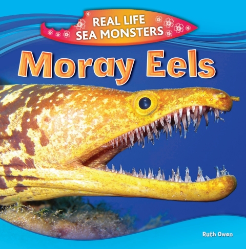 Cover image for book Moray Eels