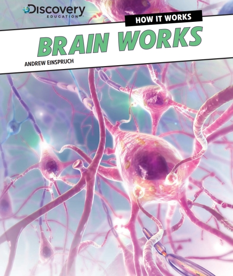 Cover image for book Brain Works