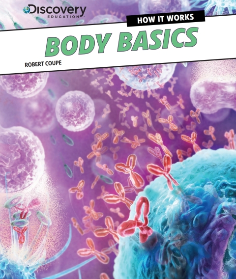 Cover image for book Body Basics