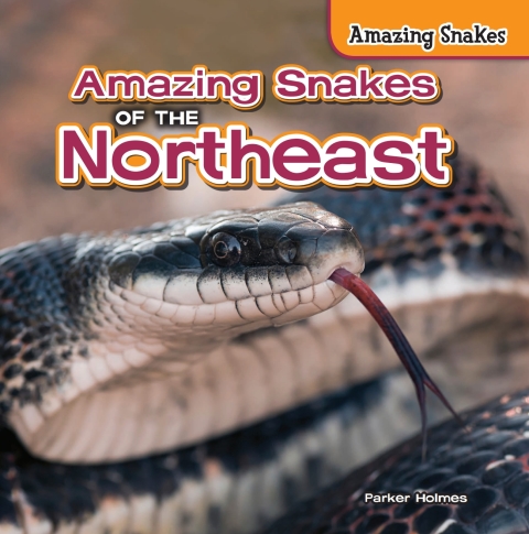 Cover image for book Amazing Snakes of the Northeast