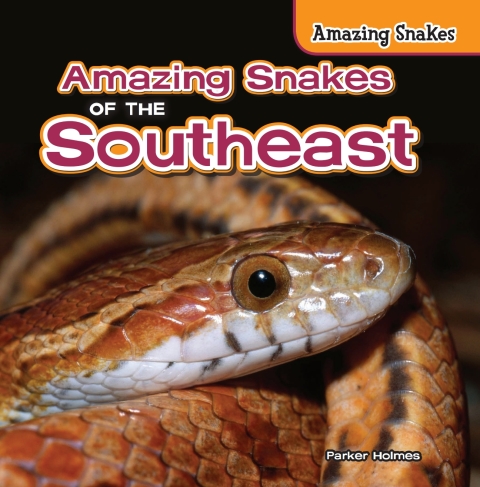 Cover image for book Amazing Snakes of the Southeast