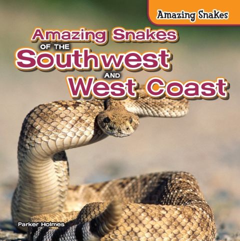 Cover image for book Amazing Snakes of the Southwest and West Coast