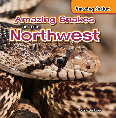Cover image for book Amazing Snakes of the Northwest