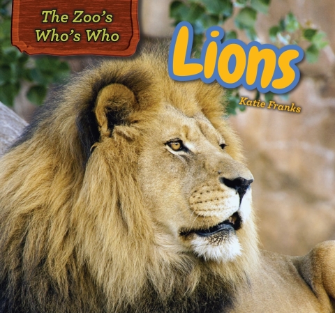 Cover image for book Lions
