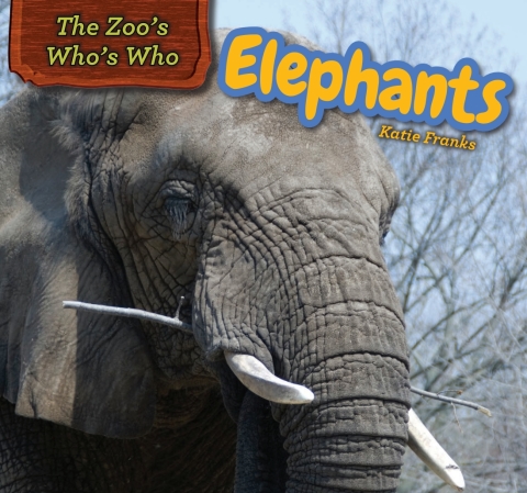 Cover image for book Elephants