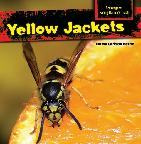Cover image for book Yellow Jackets