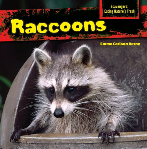 Cover image for book Raccoons