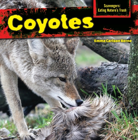 Cover image for book Coyotes