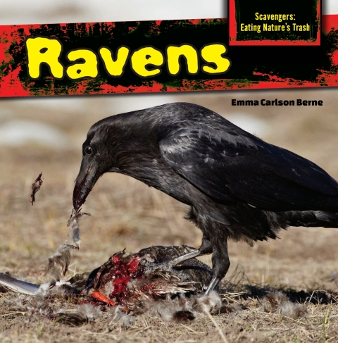 Cover image for book Ravens