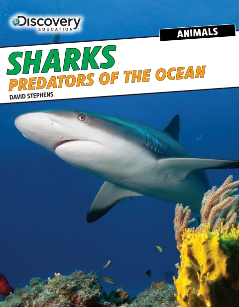 Cover image for book Sharks