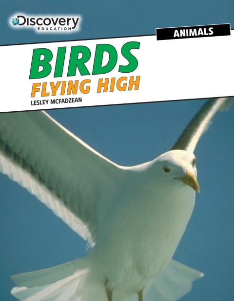 Cover image for book Birds