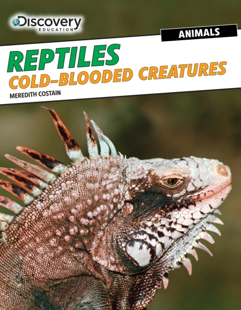 Cover image for book Reptiles