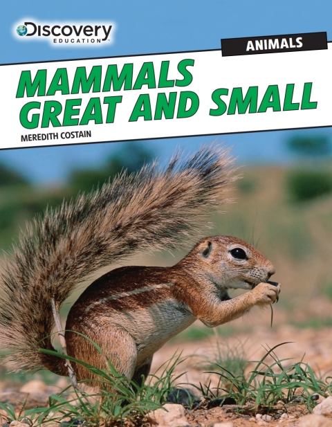 Cover image for book Mammals Great and Small