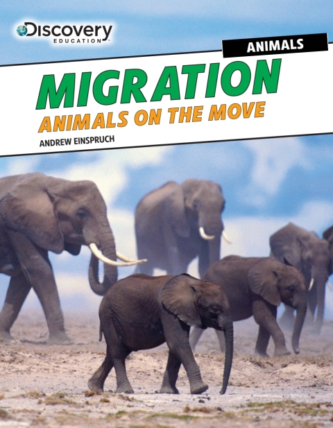 Cover image for book Migration