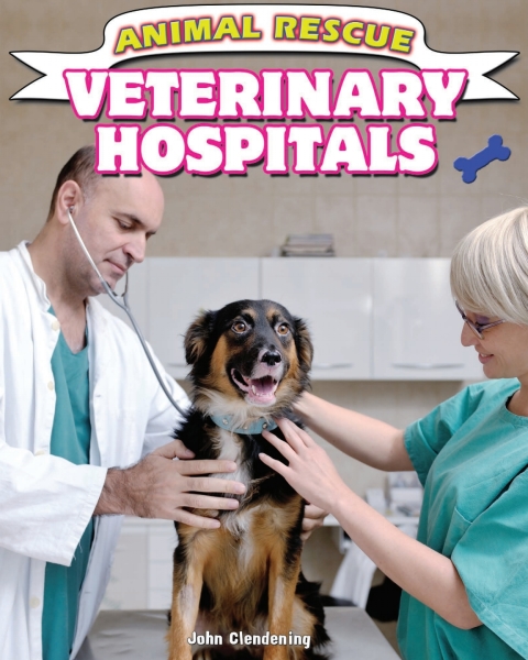 Cover image for book Veterinary Hospitals