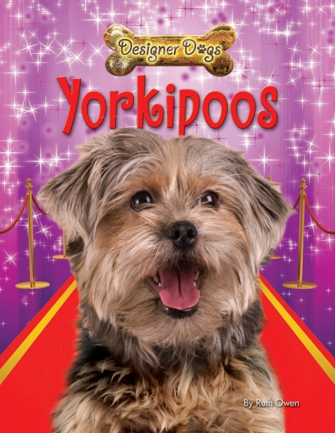 Cover image for book Yorkipoos