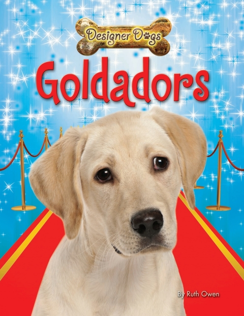 Cover image for book Goldadors