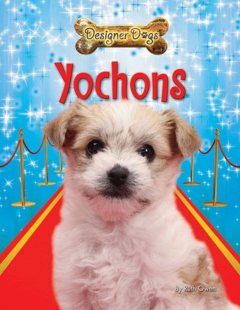 Cover image for book Yochons