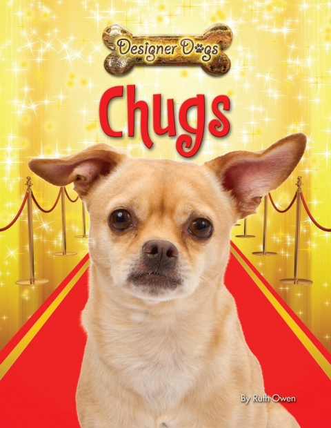 Cover image for book Chugs