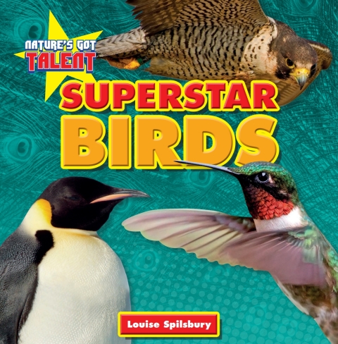 Cover image for book Superstar Birds
