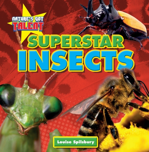 Cover image for book Superstar Insects