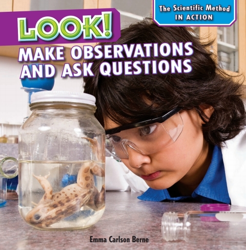 Cover image for book Look!