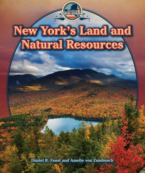 Cover image for book New York's Land and Natural Resources