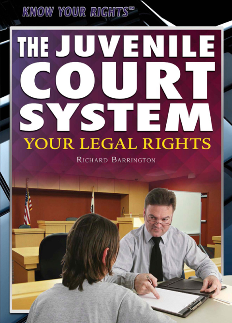 Cover image for book The Juvenile Court System
