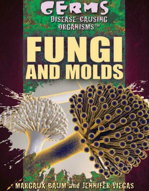 Cover image for book Fungi and Molds