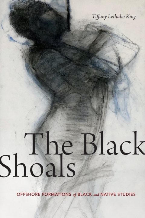 Cover image for book The Black Shoals