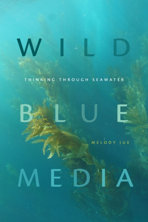 Cover image for book Wild Blue Media