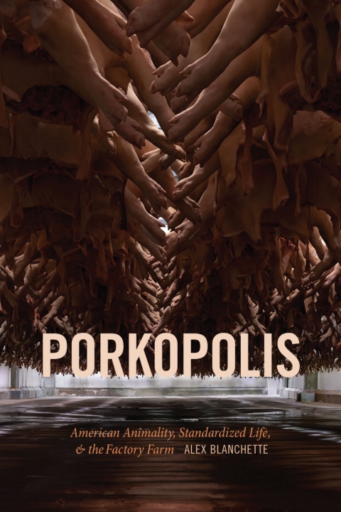Cover image for book Porkopolis