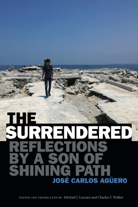 Cover image for book The Surrendered