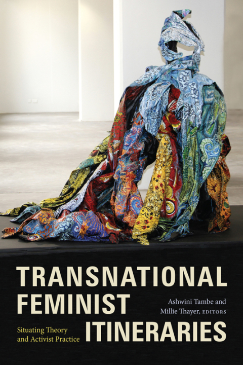 Cover image for book Transnational Feminist Itineraries