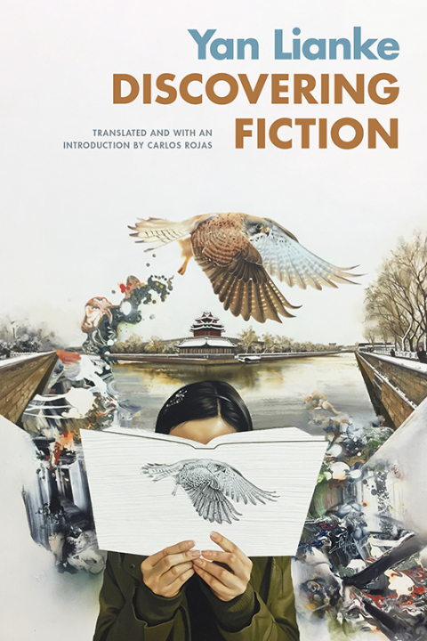 Cover image for book Discovering Fiction