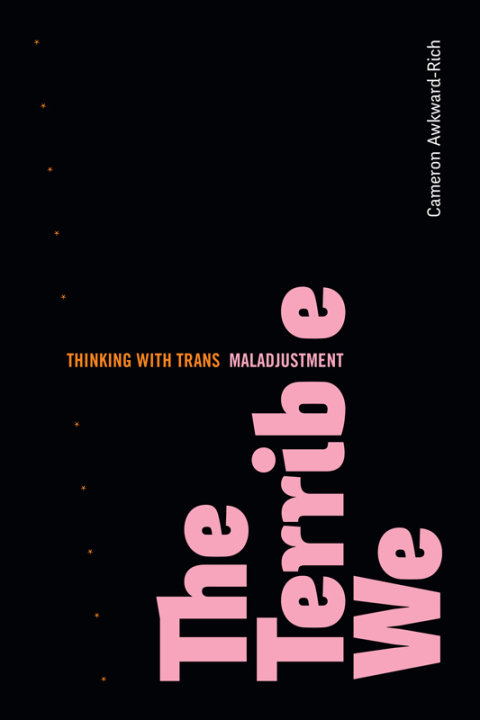 Cover image for book The Terrible We