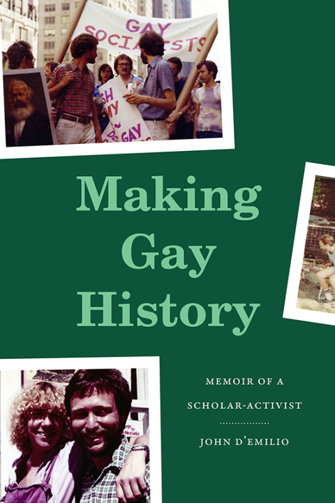 Cover image for book Making Gay History