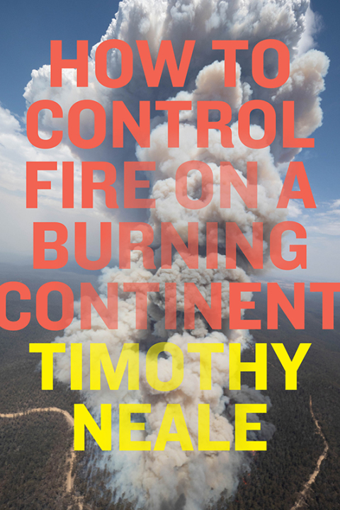 Cover image for book How to Control Fire on a Burning Continent