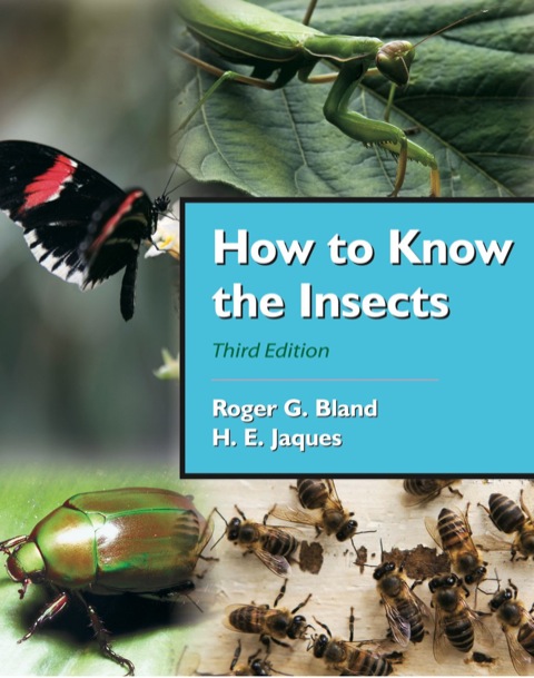 Cover image for book How to Know the Insects
