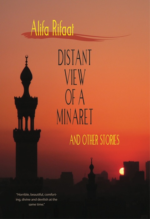 Cover image for book Distant View of a Minaret and Other Stories