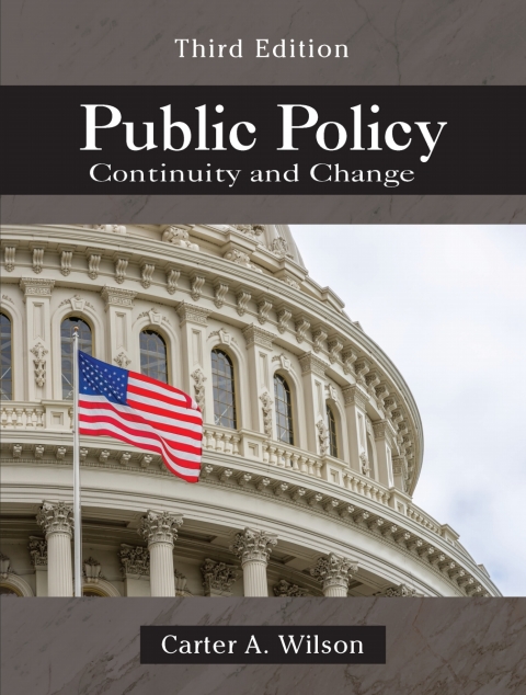 Cover image for book Public Policy: Continuity and Change