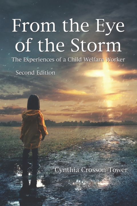 Cover image for book From the Eye of the Storm: The Experiences of a Child Welfare Worker