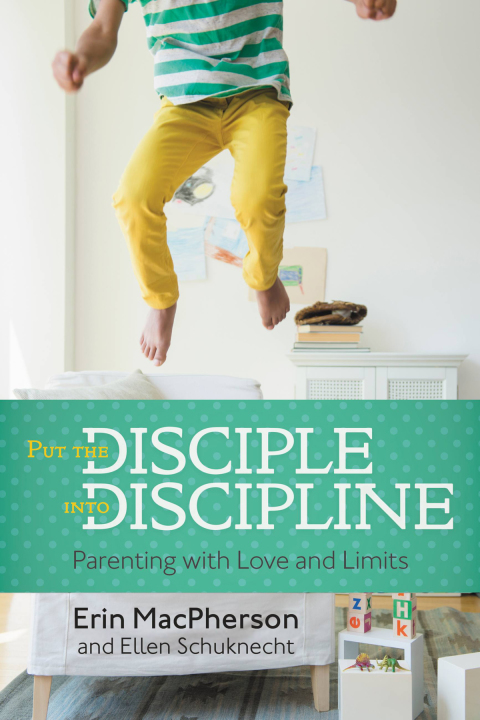 Cover image for book Put the Disciple into Discipline