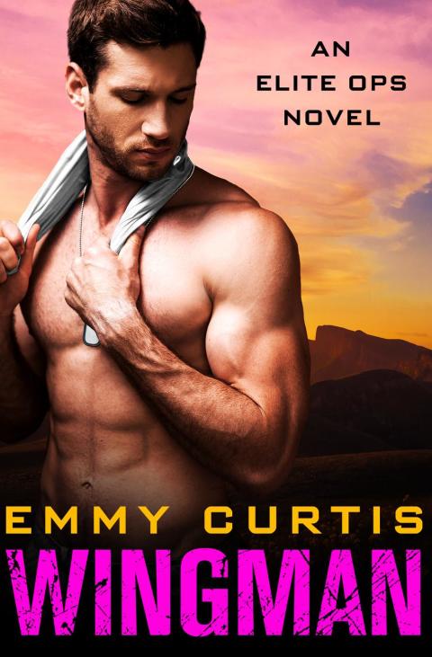 Cover image for book Wingman