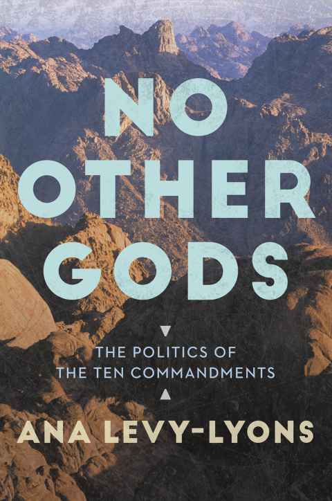 Cover image for book No Other Gods