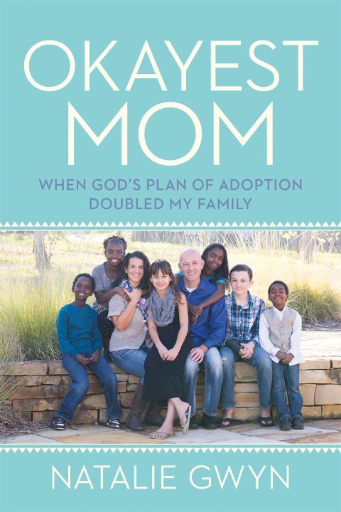 Cover image for book Okayest Mom