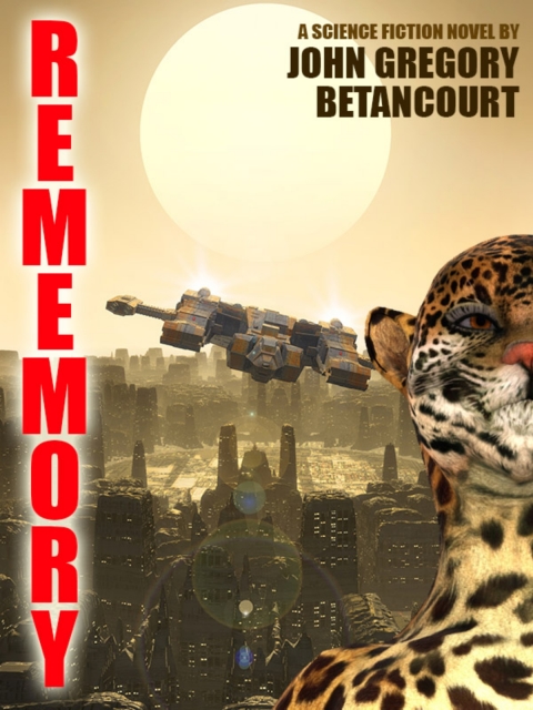 Cover image for book Rememory