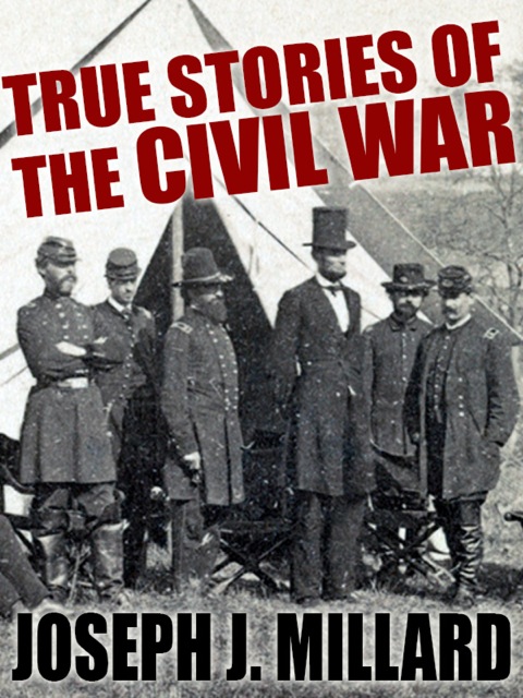 Cover image for book True Stories of the Civil War